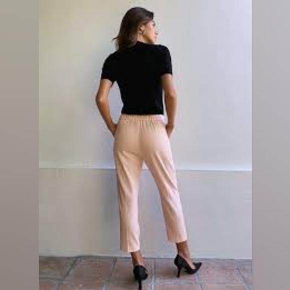 Aritzia Babaton Cohen Pants - Picture 2 of 11